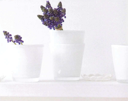 内装向け消臭・抗菌光触媒『スマイライト』