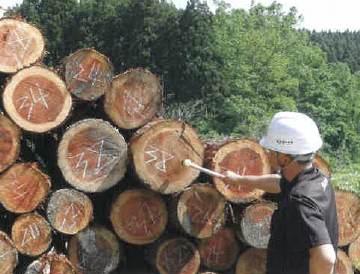 木材打込専用RFIDタグ『OHTAG』