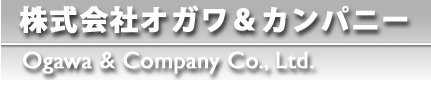 経営全般に関する調査コンサルティングサービス