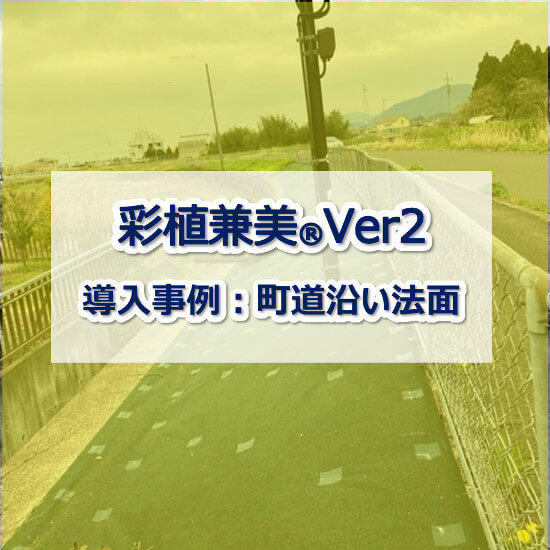 【防草シート施工事例】彩植兼美(R)Ver.2　町道沿い法面