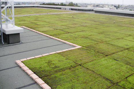 屋上苔緑化『ToMoSu system』