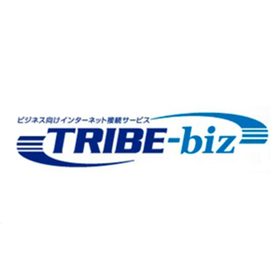 Communication redundancy service "T...