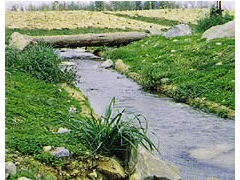 植生護岸システム『エコファイバー』