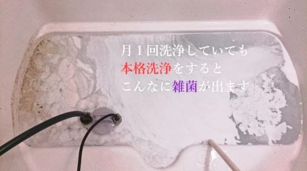 ハウスクリーニング『風呂釜追いだき配管洗浄』