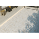 ロブスト1.png