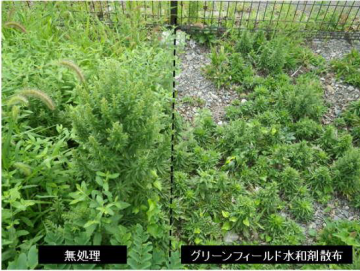 植栽地の省管理技術『グリーンフィールド』