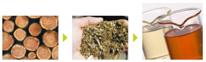 【食品工場向け】植物性除菌型消臭液『PCK』