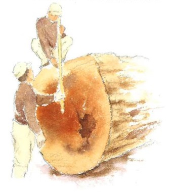 【資料】木を知る。