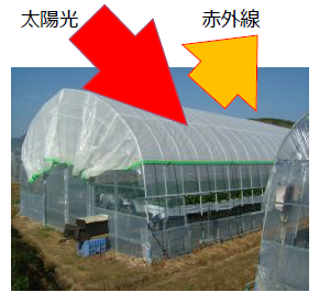 農業用被覆資材『明涼』