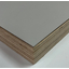 FENIX Top Panel