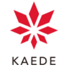 英文開示コンサルティングサービス