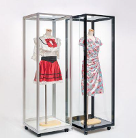 コレクションケース