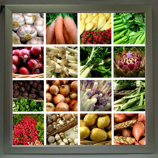 LEDバックライト パネル ADアルミフレーム 500角サイズ