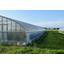 H.CONTROL FILM by TRI-i Corporation