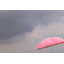 What kind of rain is referred to by "precipitation of 50mm or more in one occurrence," which is used as a criterion for suspending operations?