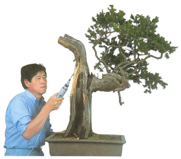 電動木彫機　盆栽用 木彫機