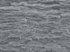 バリア性コーティング剤『エコステージGB（ハイバリア型）』