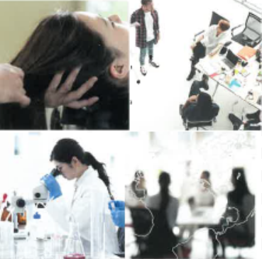 中野製薬株式会社 事業紹介