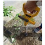 地下水試料採取ツール　採水器