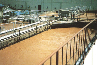 環境対策　調査・コンサルティングサービス