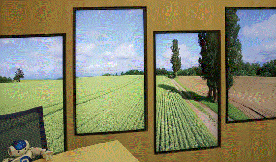 Virtual Window/バーチャルウィンドウ