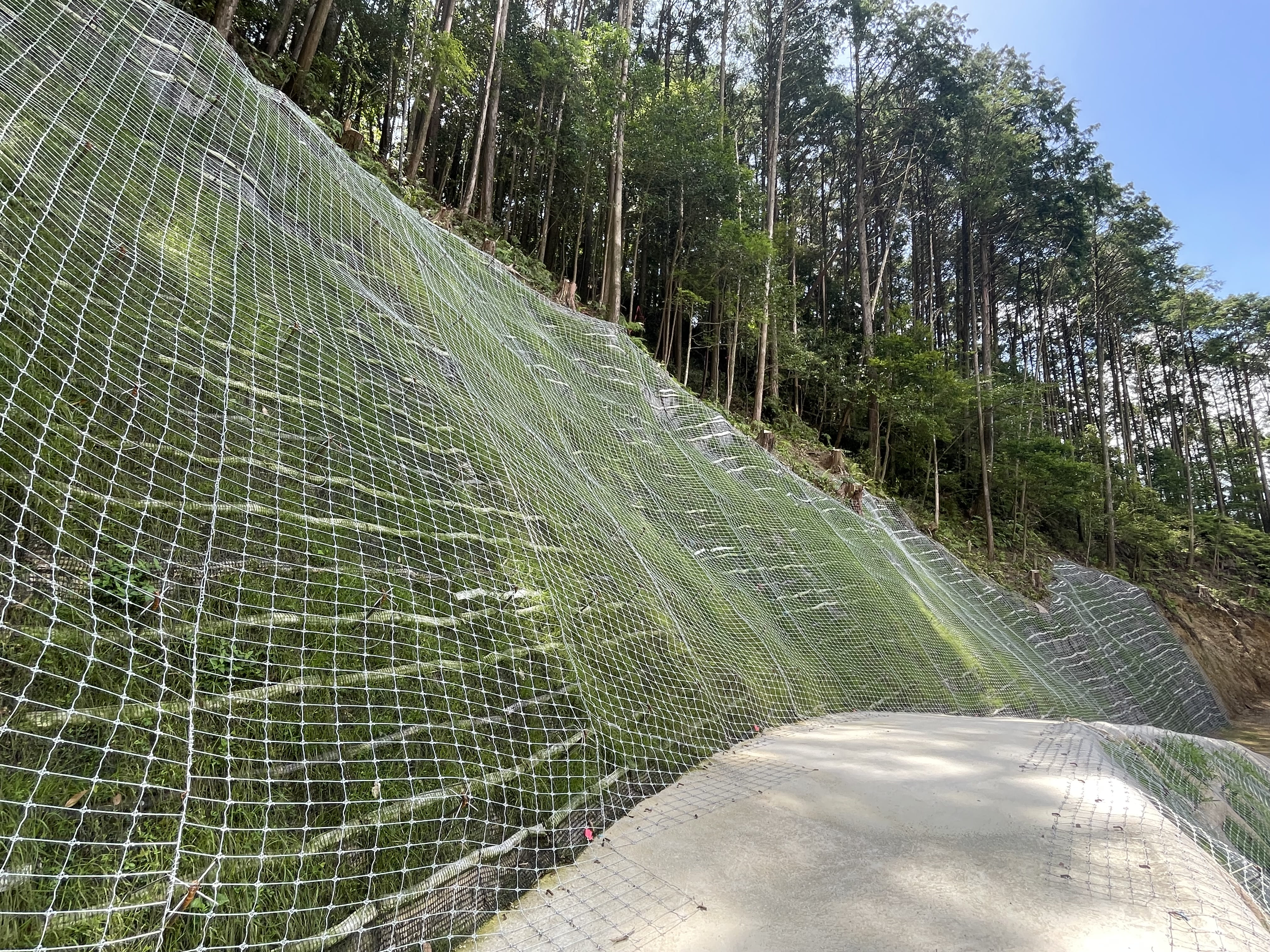 ヘル2枚まとめて　ナカダ産業　防鳥ネット　防球ネット　3×13 m 防鳥ネット ナカダ産業 | イプロス