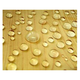 Water-repellent and oil-repellent p...