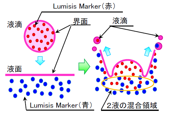 【樹脂粒子LumisisMarker】液滴の液面への落下