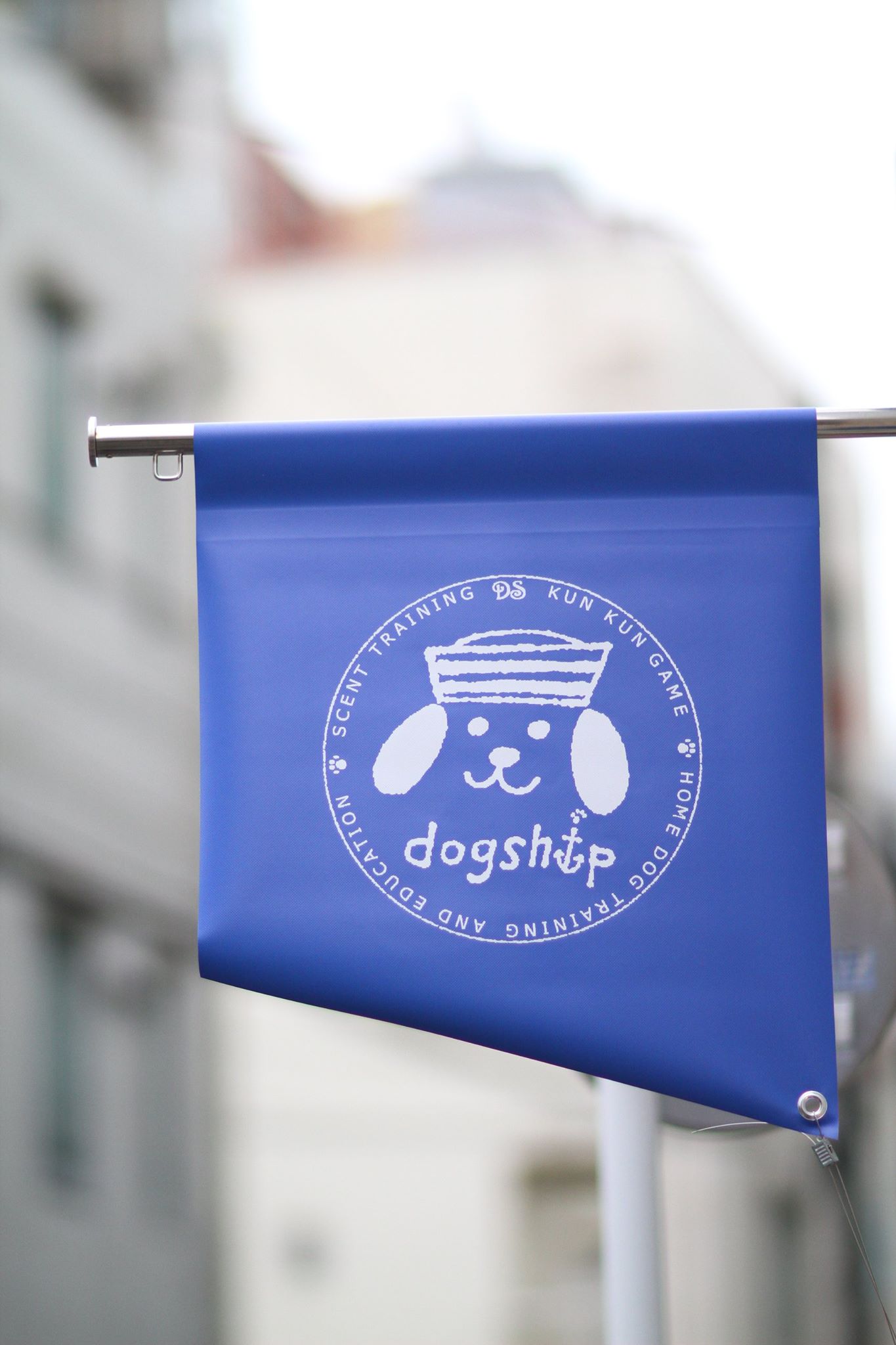 スクール『DOGSHIP HARBOR』