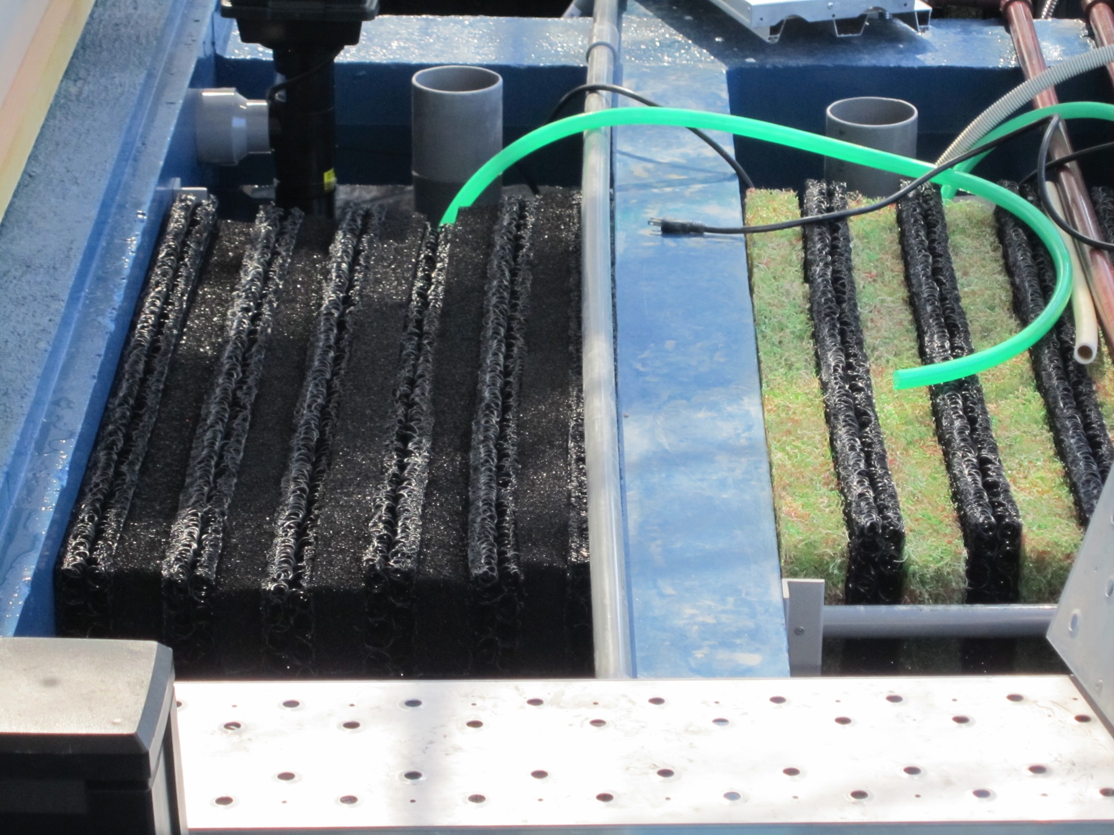 【もものすけ】リピート割 楽天市場】ワンピース モモの助の通販