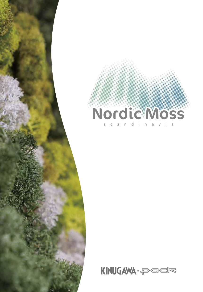 天然素材のインテリアディスプレイ資材「ノルディックモス」