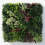 Artificial wall greening panel "moreleaf"