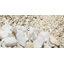 What is natural zeolite?