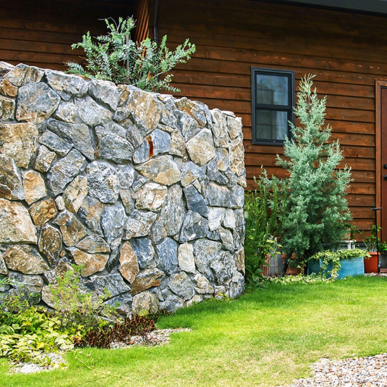 ギリシャ産ロックフェイス 竹藤商店 | イプロス