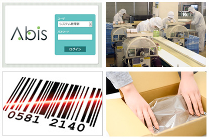 株式会社シップス　事業紹介