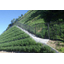 Vegetation soil bag "Native species seed planting vegetation soil bag"