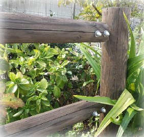 【モクボープラストーン】デッキやガーデニング資材の仕上げに！