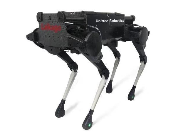 四足歩行ロボット【不規則な地形も自由に散歩！】