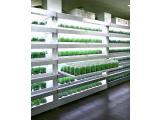 植物工場　植物培養システム