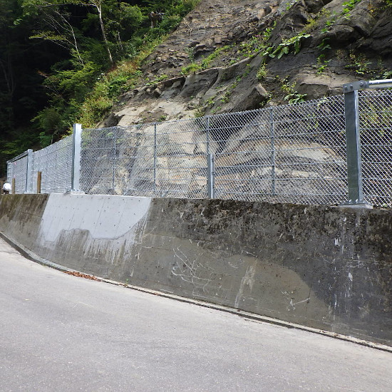 既設落石防護柵補強工『再強フェンス Lタイプ』