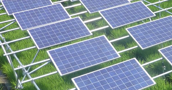 スマートブルー株式会社　ソーラーシェアリング事業のご紹介