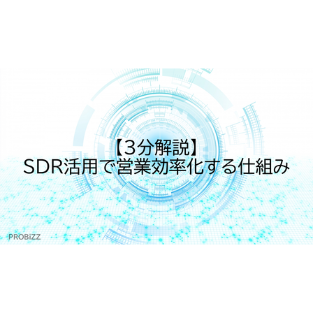 image_2025_7_24_7.png