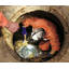 DaiKyou Clean Co., Ltd. Drainage Maintenance Service Information