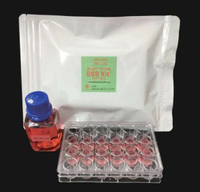in vitro 血液脳関門 再構成モデル『BBB Kit』