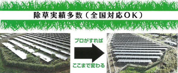 発電所特化『除草メンテナンス』