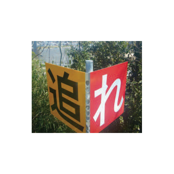 image_05.png