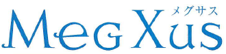 建設機械・器具レンタル統合基幹システム『MeGXus』