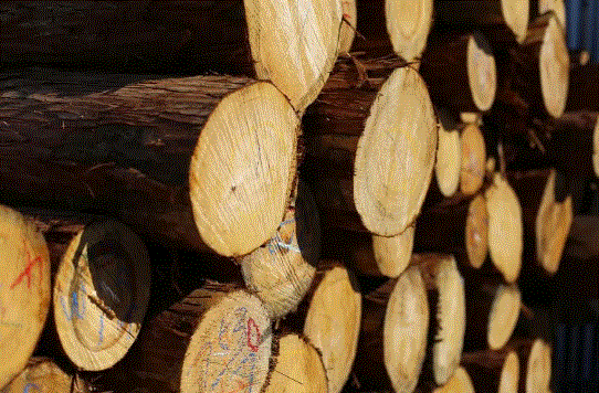 木材製材・加工サービス