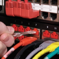 ブラックボックス 安全対策!LockPORTポートロック25個入-ブラックボックス ブラック