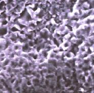 実績技術　集電体の改良